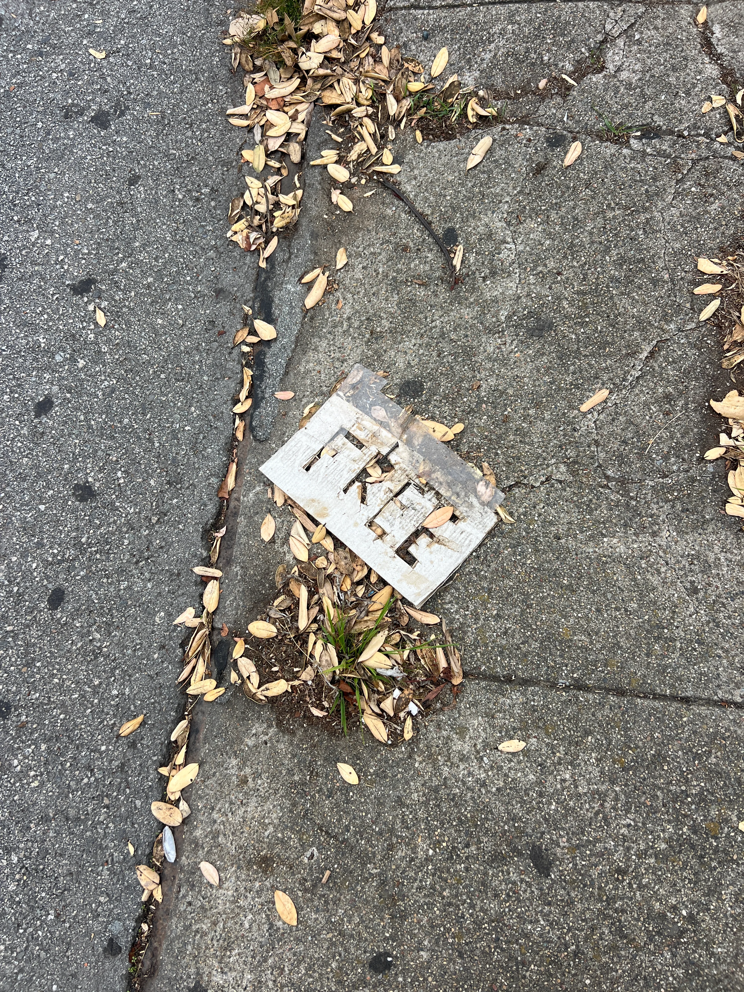 I wonder what they were giving away.